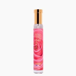 Absolument Rose