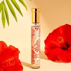 Fleur D'Hibiscus
