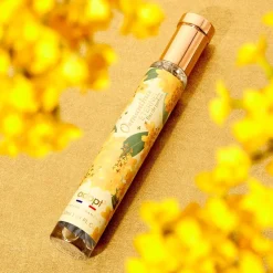 Osmanthus Eternel