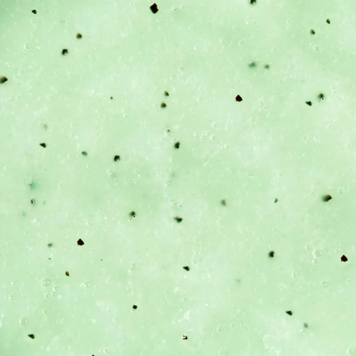 Verveine Fizz